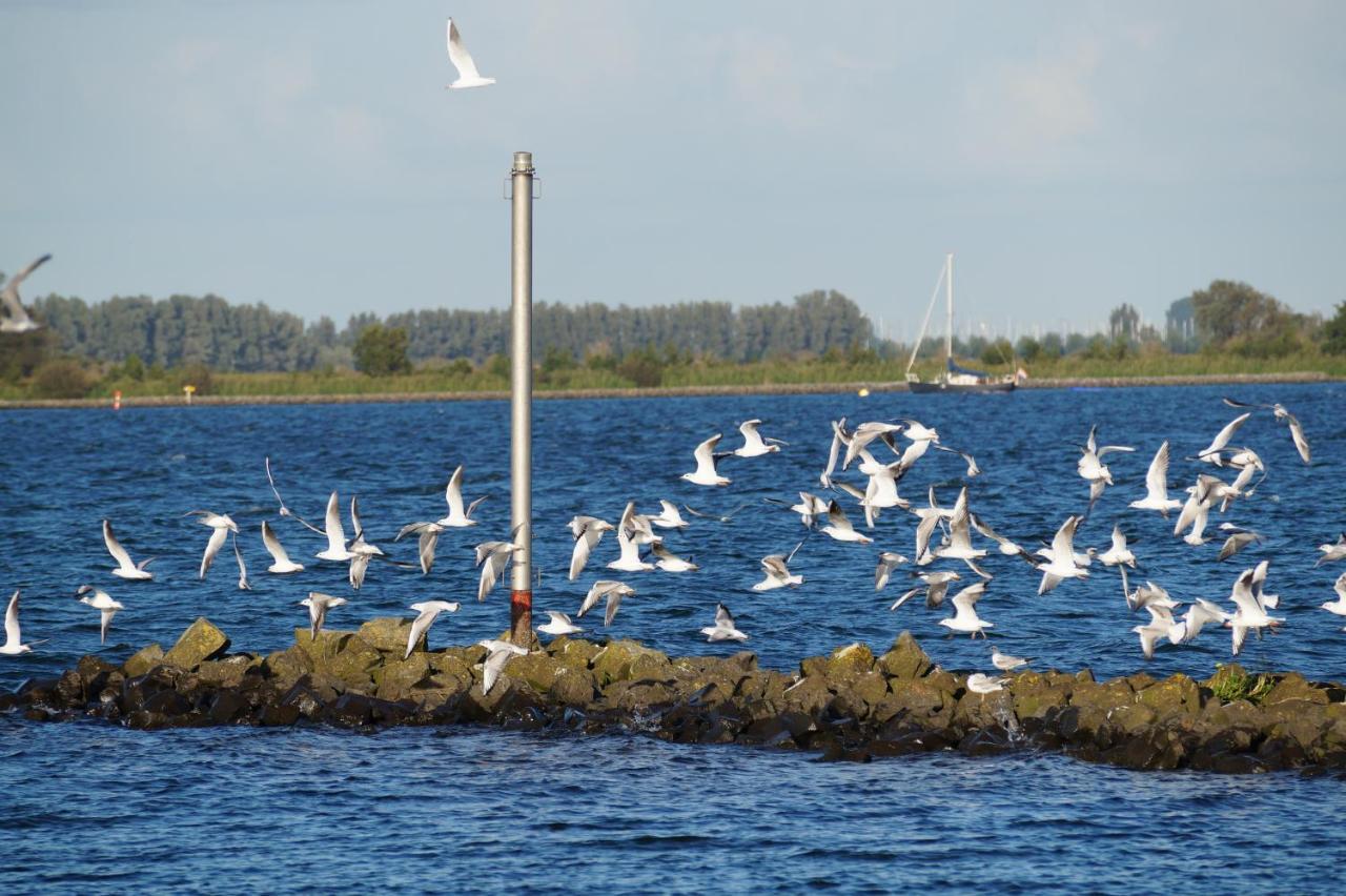 B&B Logeren Bij De Burgemeester Stad aan 't Haringvliet Ngoại thất bức ảnh